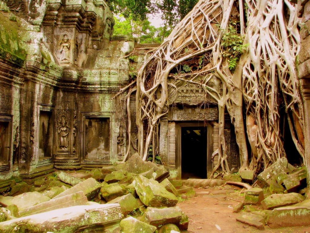 Ta Prohm Temple cambodian travel destinations