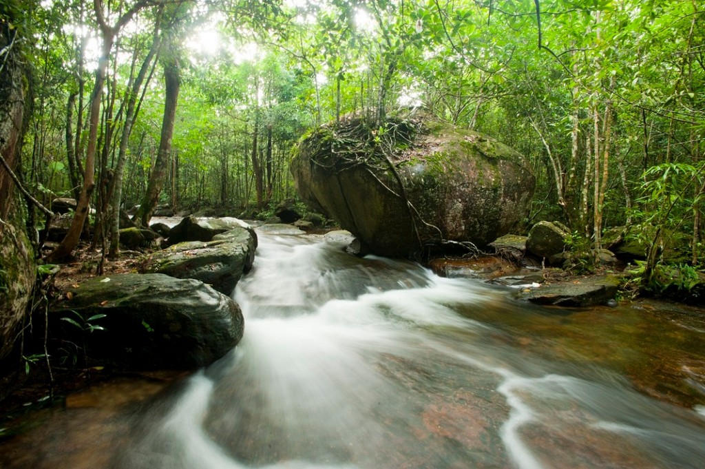 tranh-stream-phu-quoc-ideal-place-in-phu-quoc-5