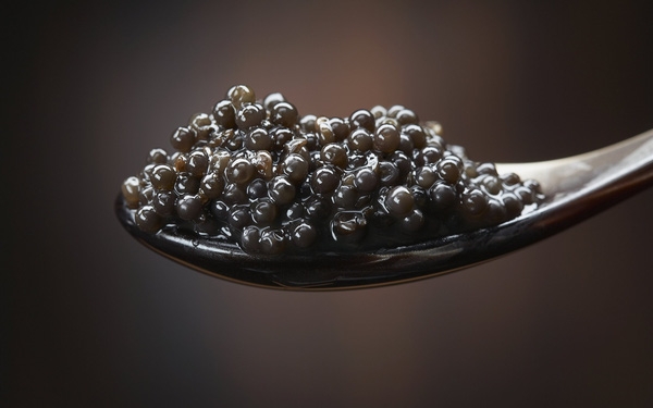 caviar-best food in the world (8)