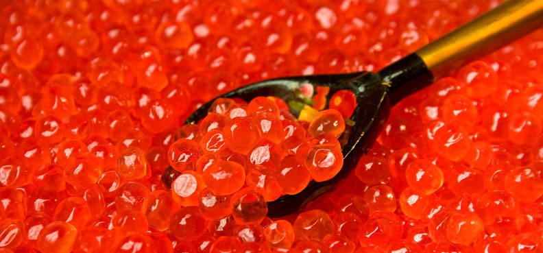 caviar-most luxury cuisine of the world (10)