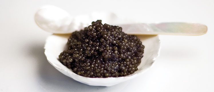 caviar-most luxury cuisine of the world (12)