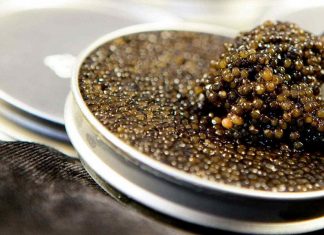 caviar-most luxury cuisine of the world (13)
