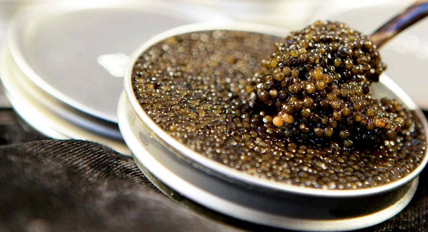 caviar-most luxury cuisine of the world (13)