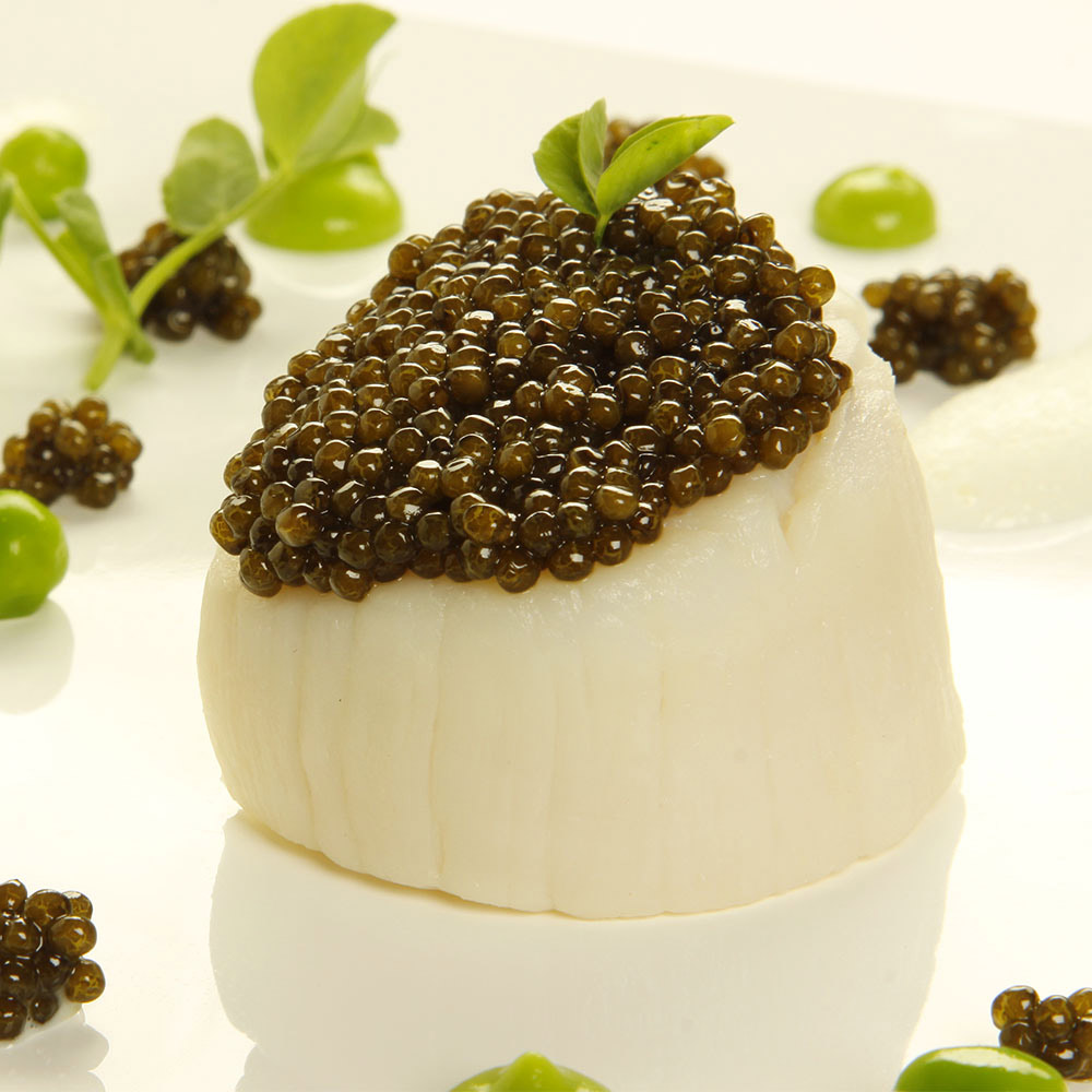caviar-most luxury cuisine of the world (4)