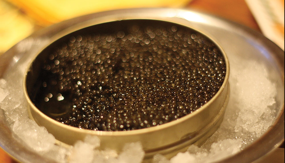 caviar-most luxury cuisine of the world (8)