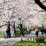 Ueno Tokyo guide — The Ueno travel guide with the best things to do in Ueno