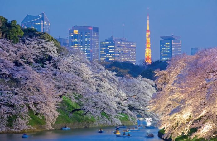 best places to see cherry blossoms in tokyo
