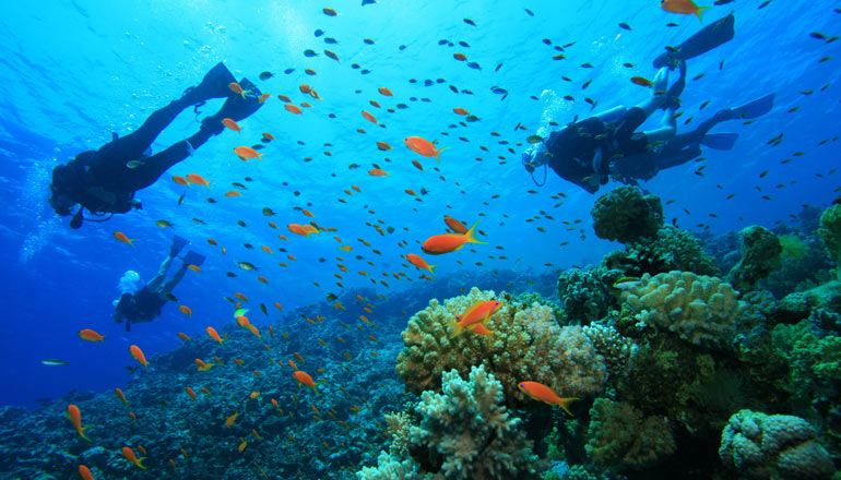 Scuba diving in Perhentian islands