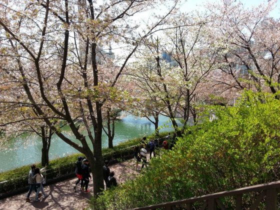 Seokchon Lake Cherry Blossom Festival