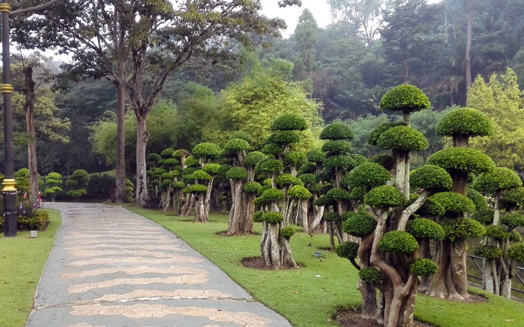Perdana Botanical Garden Kuala Lumpur Living Nomads Travel Tips Guides News Information