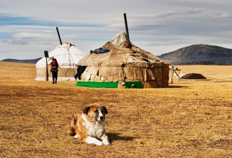 Mongolian tent-best experiences-in Mongolia2