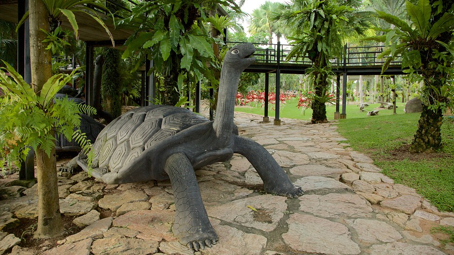 nong nooch tropical botanical garden pattaya thailand (51)