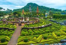 nong nooch tropical botanical garden pattaya thailand (51)