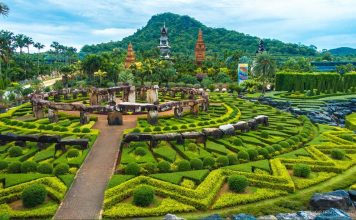 nong nooch tropical botanical garden pattaya thailand (51)