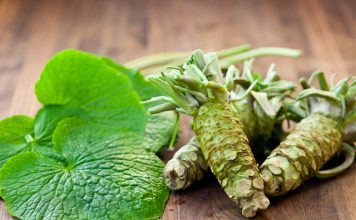 wasabi how to make how to grow wasabi dish history origin wasabi (2)