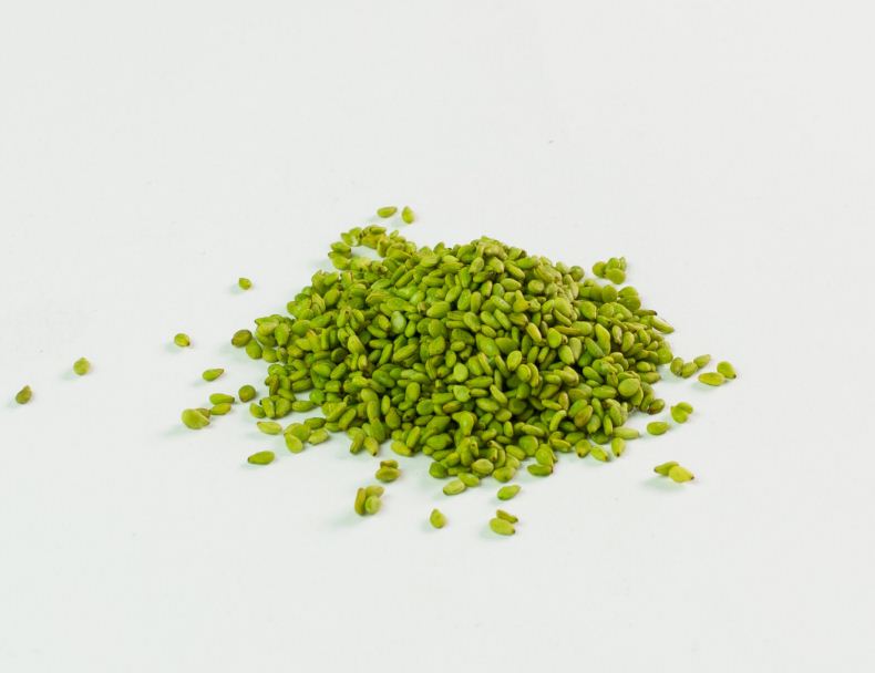wasabi seeds