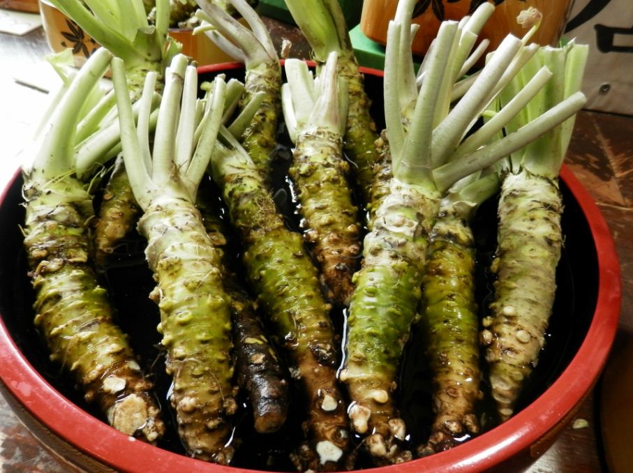 wasabi stems