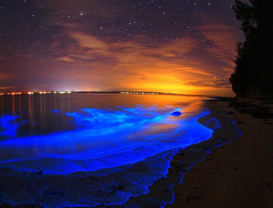 Glowing plankton, Koh Rong Islands