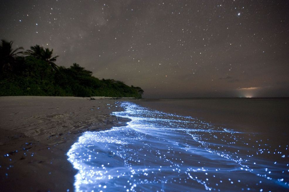 Glowing plankton, Koh Rong Islands 24