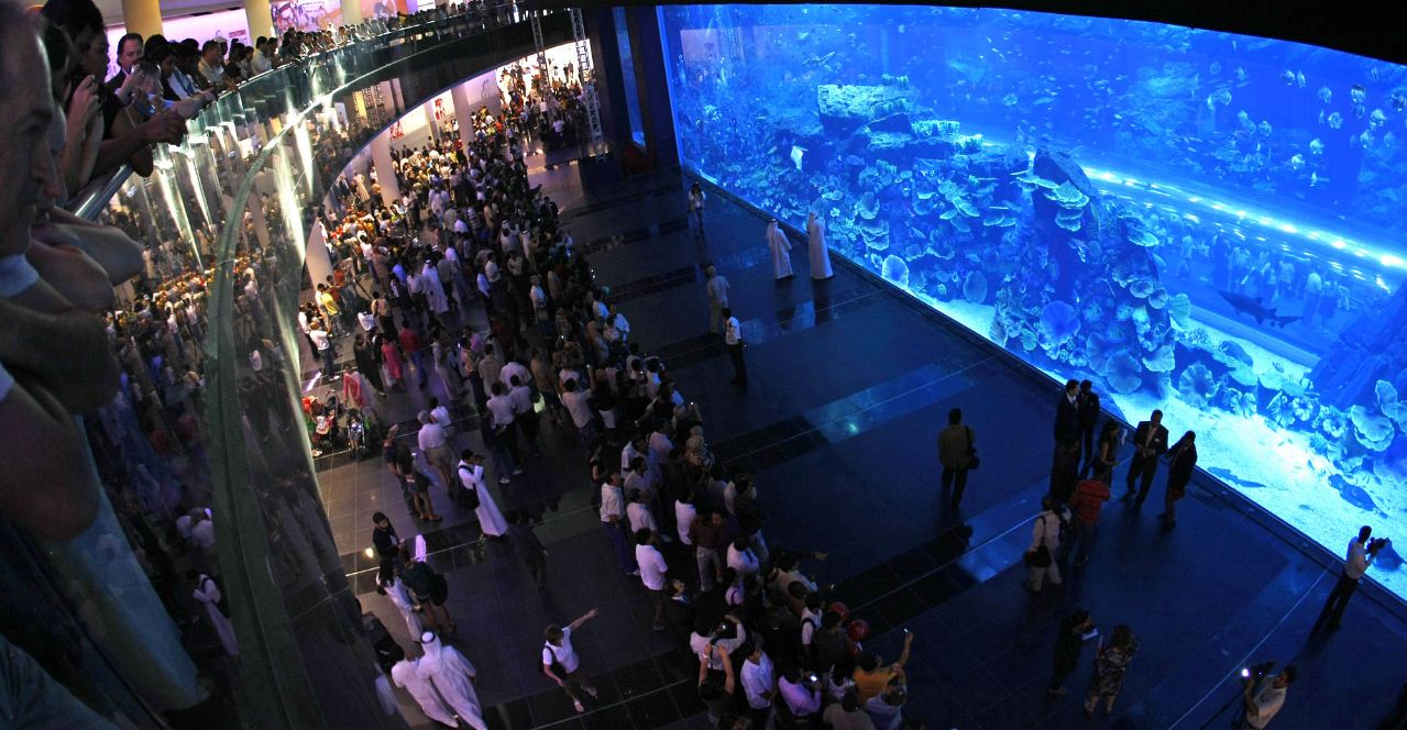 aquarium dubai malls shops (7)