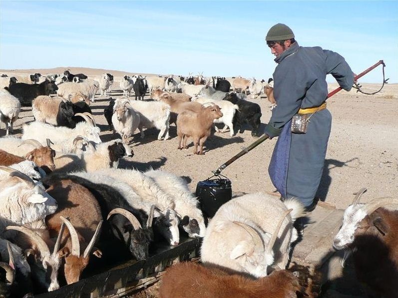 mongolia nomadic life