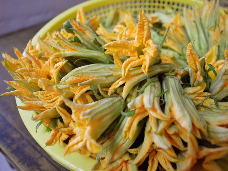 Pumkins flowers. Image of Vietnamese cuisine blog