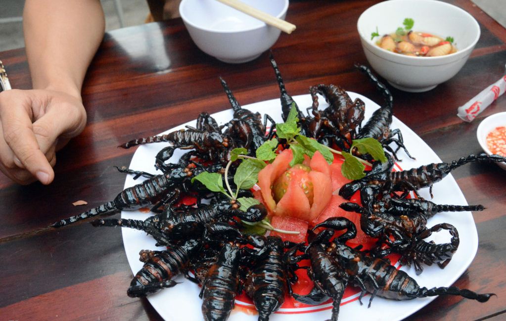 vietnamese insects dishes (1)
