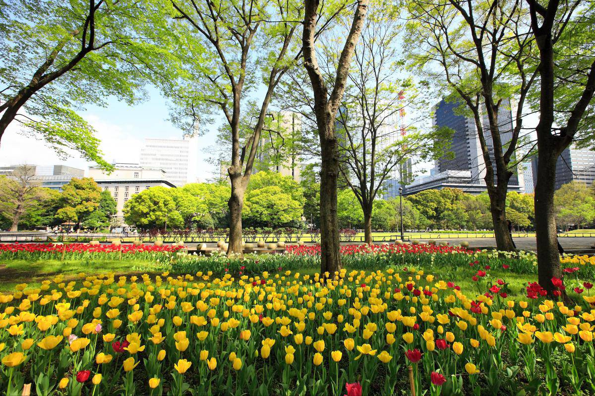 Hibiya -koen Park, Bangkok