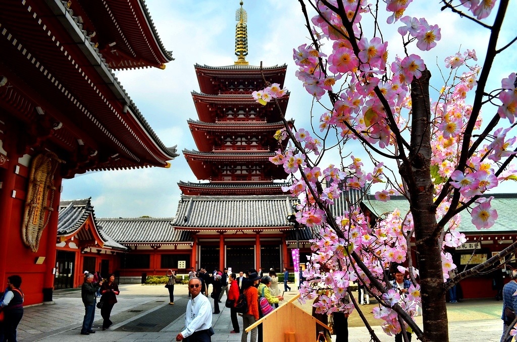 Sensoji Temple, Tokyo 10 days in japan, japan itinerary 10 days blog, japan suggested itinerary 10 days, japan travel itinerary 10 days