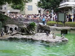 Ueno Zoo, Tokyo