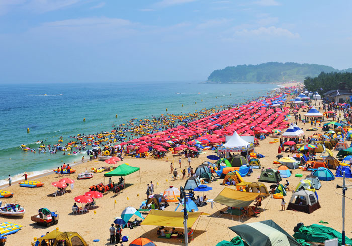 Camping in Sokcho beach, Korea