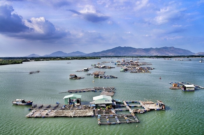 long son-island-food-best-places-to-visit-in Sai Gon4