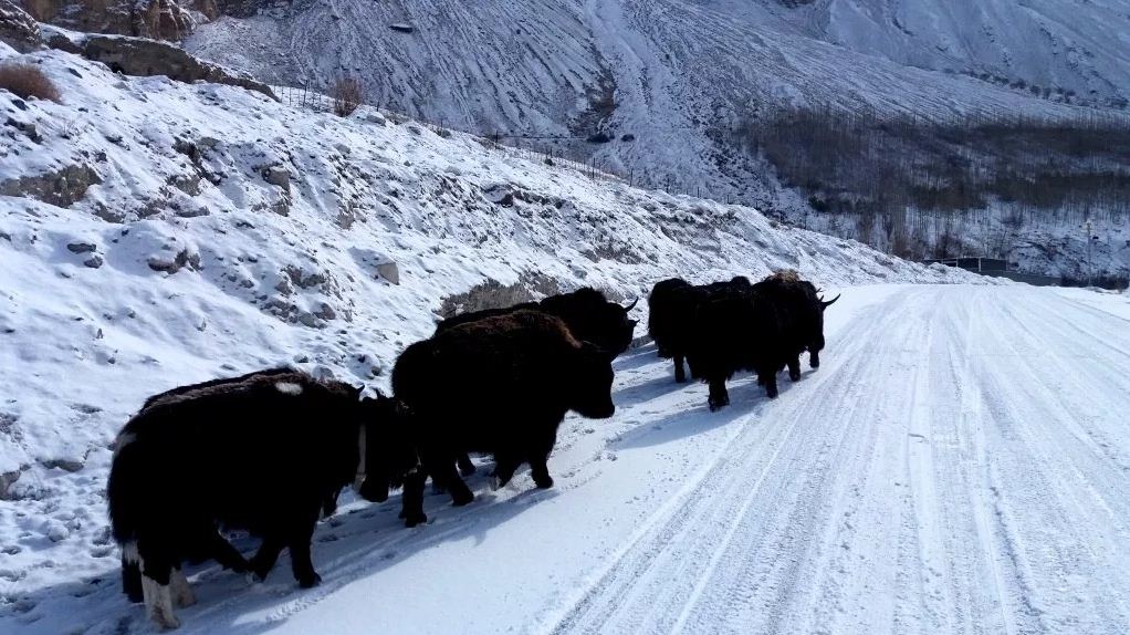 hunza valley pakistan travel blog