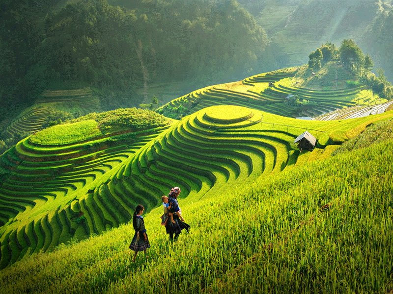 sapa trekking trek sapa trek 3