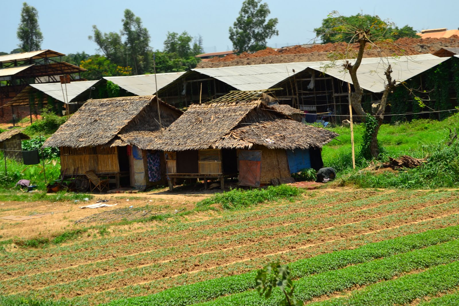 cottages in the small villages, Yangon