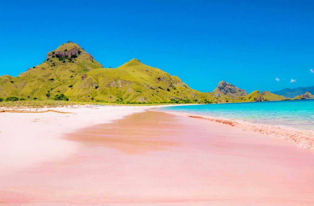 komodo island pink beach