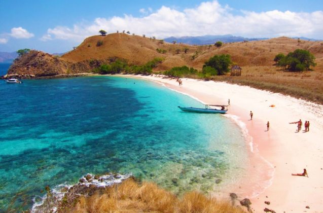 Komodo Island trip blog — The island of the largest lizard in the world ...