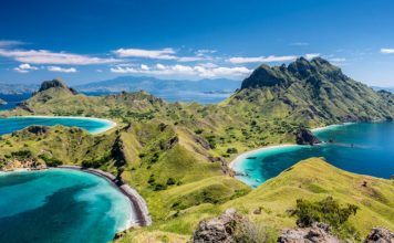 Komodo Island trip blog — The island of the largest lizard in the world komodo island trip blog
