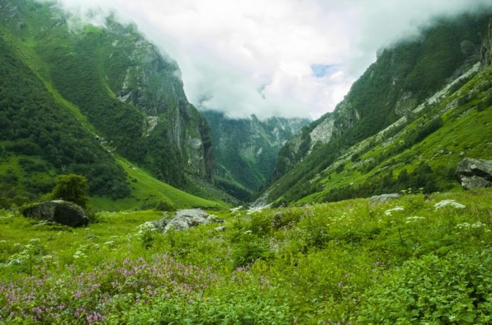 Bhyundar valley trekking — Explore the valleys of the flowers of India ...