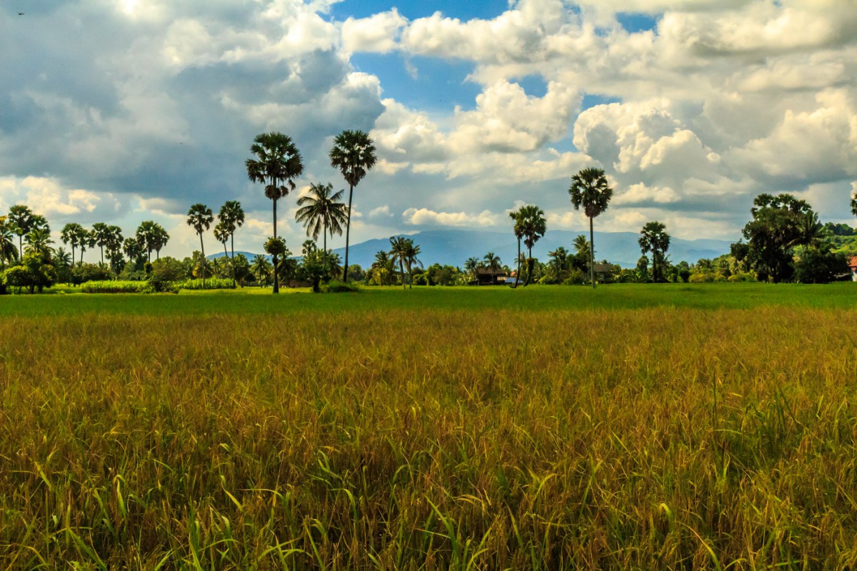 Kampot-countryside-2389-1200×800