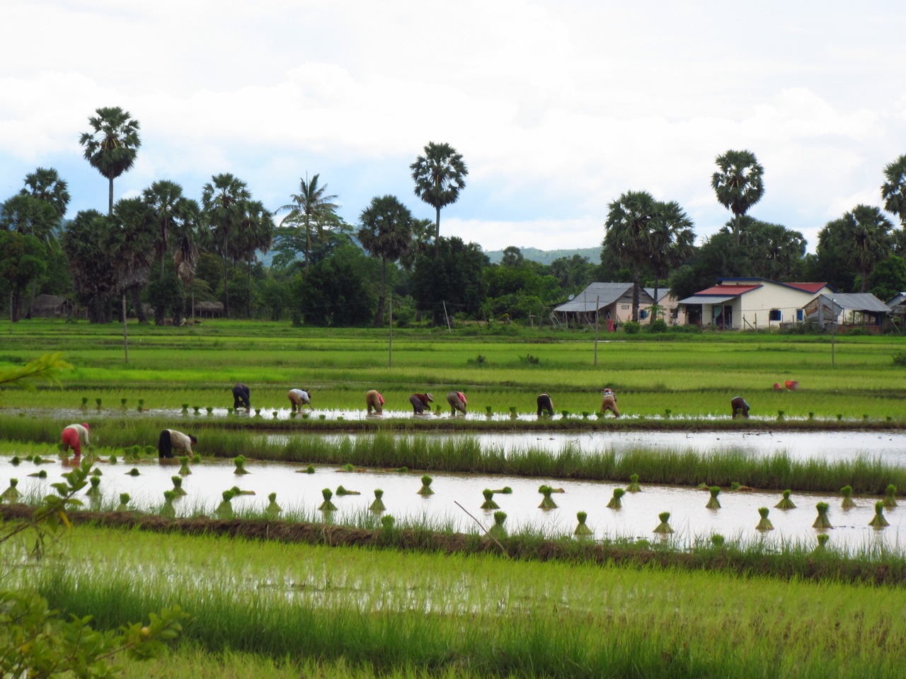 kampot-countryside