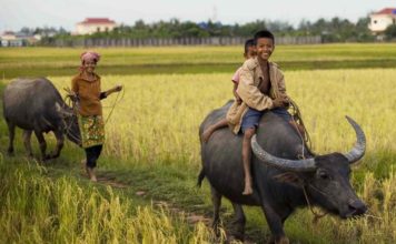Kampot province, one of the best places to visit in Cambodia