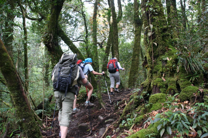 vietnam trekking