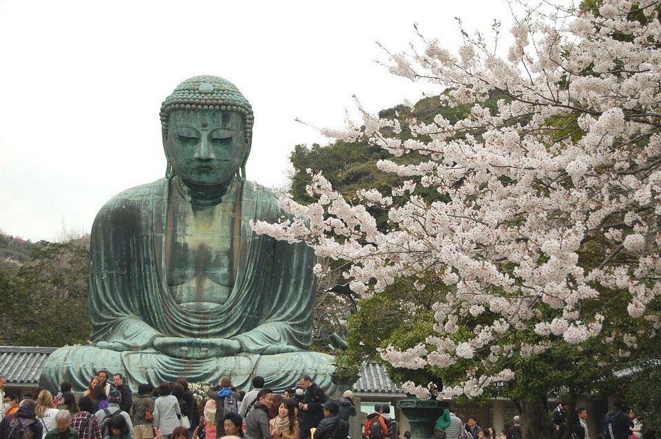Big Buddha (Daibutsu) of Kamakura's Kotokuin Temple