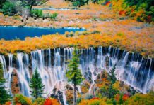 Credit: fall foliage destinations in Asia blog.