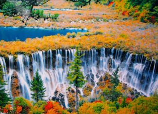 Credit: fall foliage destinations in Asia blog.