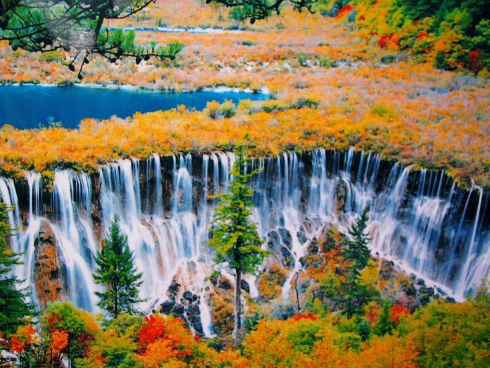 Credit: fall foliage destinations in Asia blog.