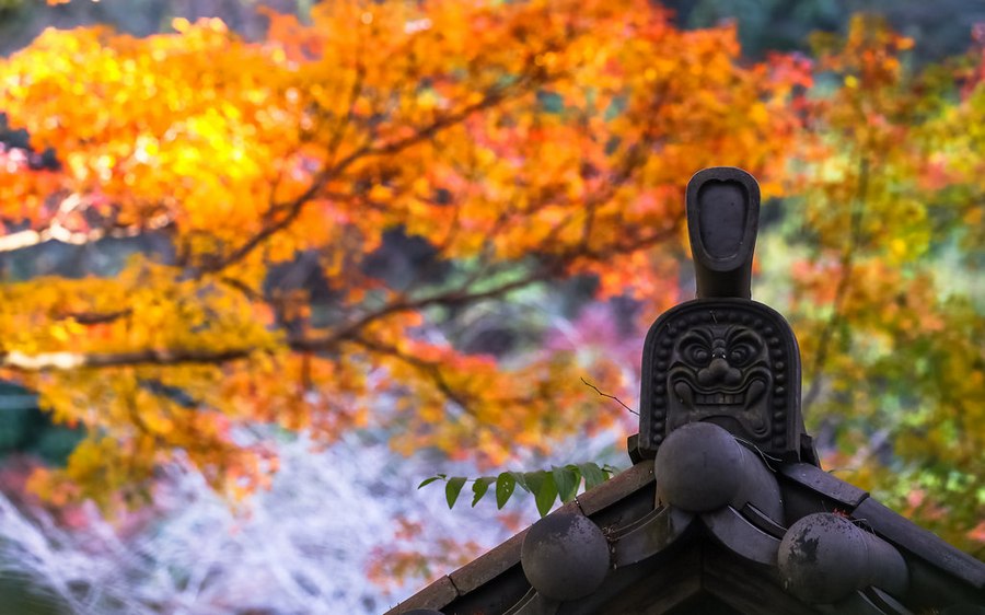 nikko places to see autumn leaves in japan (1)