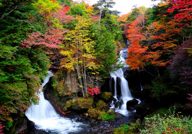 nikko places to see autumn leaves in japan (1)