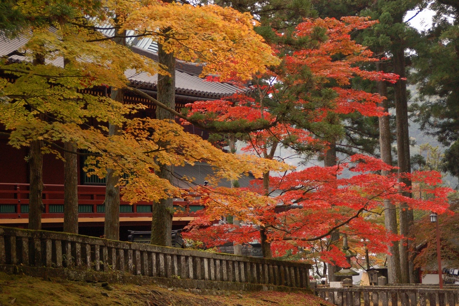 Fall foliage in Nikko